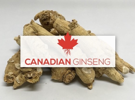 Contact Canadian Ginseng