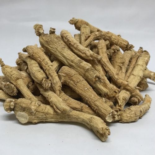 4 year medium root ginseng