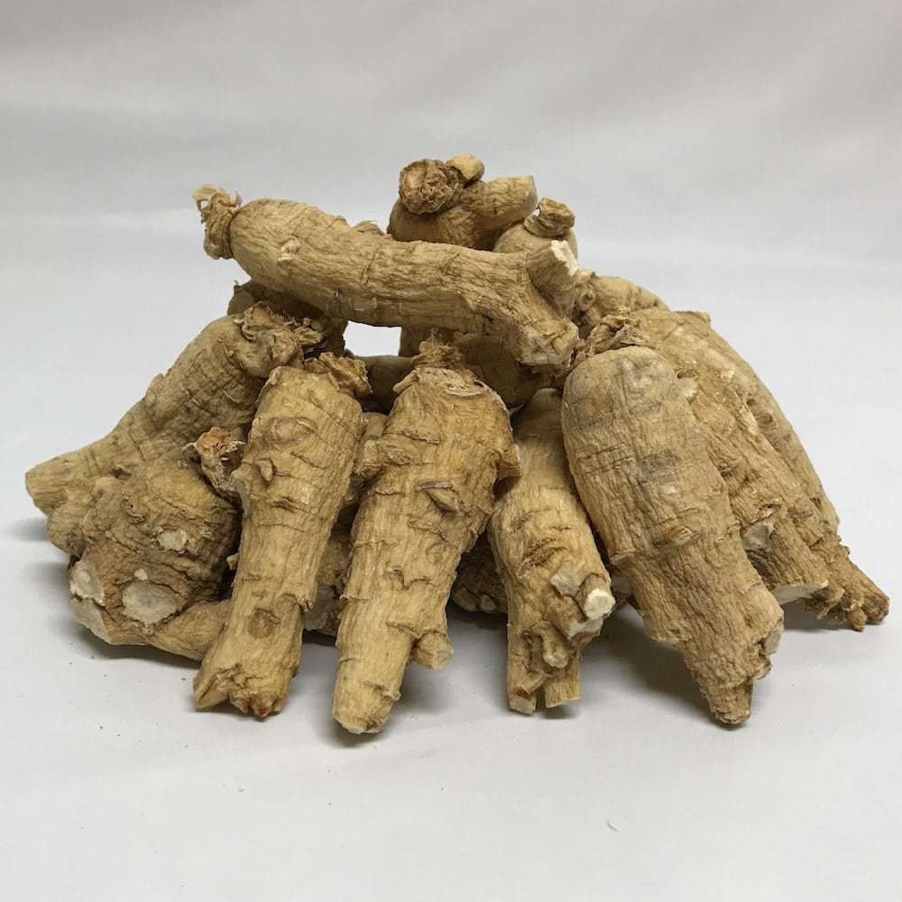 4 year large chunky ginseng root